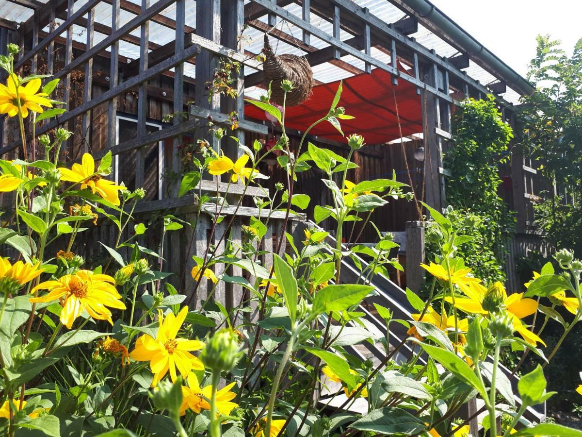 Holzhaus Mit Gruener Aussicht Zum Erholen Villa Burgheim Exterior foto
